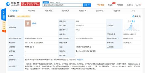 愛奇藝在重慶成立科技公司，拓展創業空間與信息系統集成服務